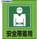 緑十字 イラストステッカー標識 安全帯着用 GK-5 120×100mm 5枚組 PET 099005 1組 ▼814-9177