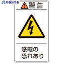 緑十字 PL警告ステッカー 警告・感電の恐れあり PL-209(大) 100×55mm 10枚組 201209 1組 ▼815-1125