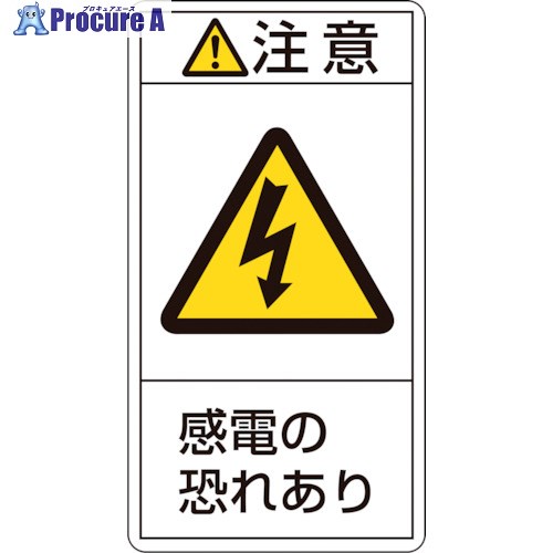 緑十字 PL警告ステッカー 注意・感電の恐れあり PL-213(大) 100×55mm 10枚組 201213 1組 ▼815-1129