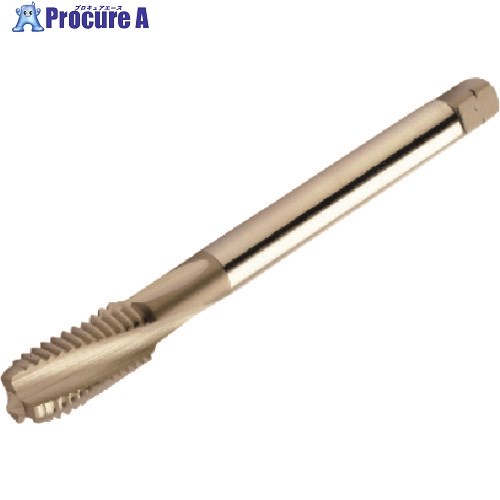 SANDVIK å300 ѥ륿å(780) D150 T300-NM100AE-1/4 D150 (780) 1 1...