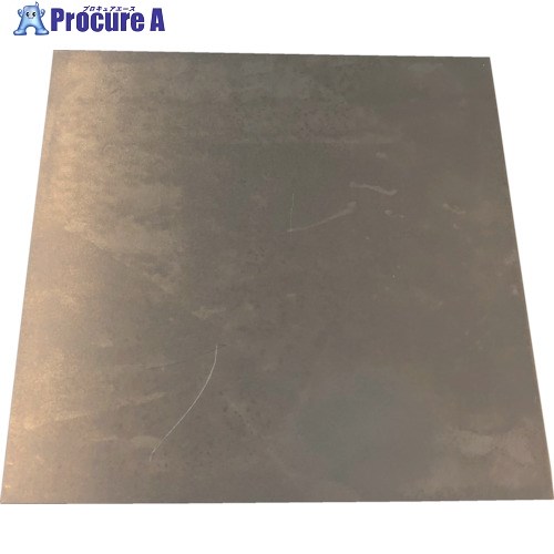 TRUSCO シムプレート 鉄 0.5×100×100mm SISPC0.5-100-100 1枚 ▼256-2923【代引決済不可】