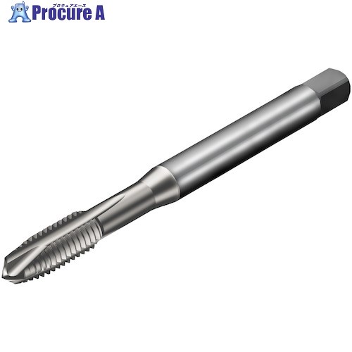SANDVIK å200 ݥȥå(781) C150 T200-XM100DE-1/4 C150 (781) 1 32...