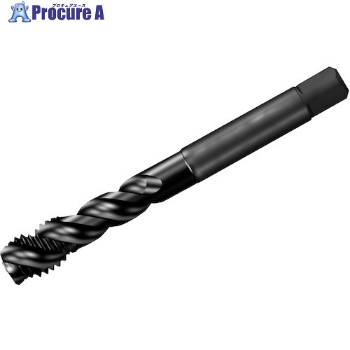 SANDVIK å300 ѥ륿å(781) C145 T300-XM101AE-7/8 C145 (781) 1 325-0030 ٸѡ KO521