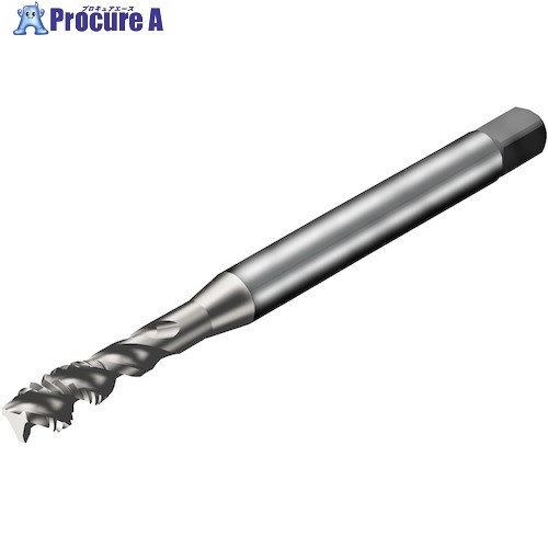 SANDVIK コロタップ300 スパイラルタップ(781) C150 T300-XM104DA-M6 C150 (781) 1本 ■▼326-1119 【送料都度見積】 ●KO521