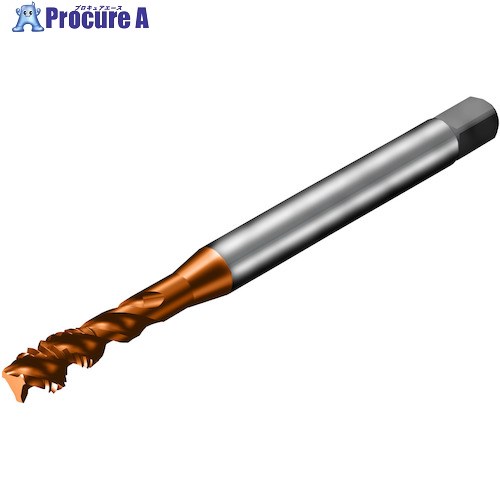 SANDVIK å300 ѥ륿å(781) C110 T300-XM102AE-1/4 C110 (781) 1 3...