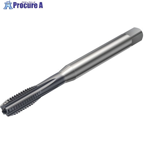 サンドビック コロタップ100 ストレートタップ(780) D210 T100-KM108AF-5/16 D210 (780) 1本 ■▼326-8023【代引決済不可】【送料都度見積】 ●KO521