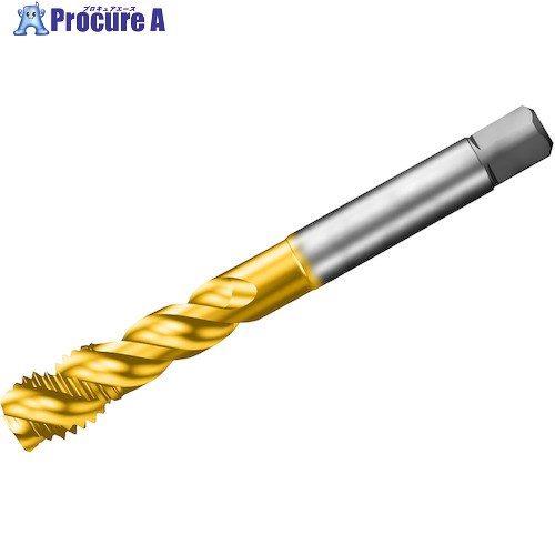 SANDVIK å300 ѥ륿å(781) C145 T300-XM102AE-12-24 C145 (781) 1 ...