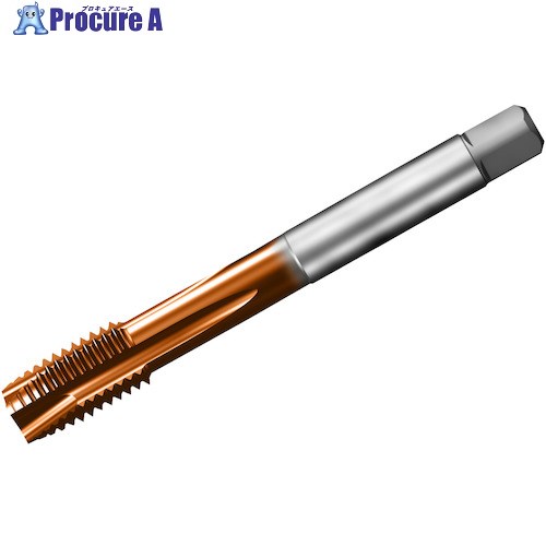 SANDVIK å200 ݥȥå(781) C110 T200-XM101AE-1/2 C110 (781) 1 32...