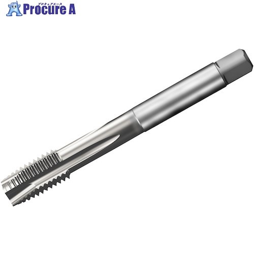 SANDVIK å200 ݥȥå(781) C150 T200-XM101AE-1/2 C150 (781) 1 32...
