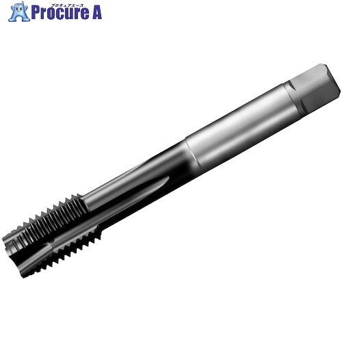 SANDVIK å200 ݥȥå(780) P1PM T200-PM109AE-1 P1PM (780) 1 351-...