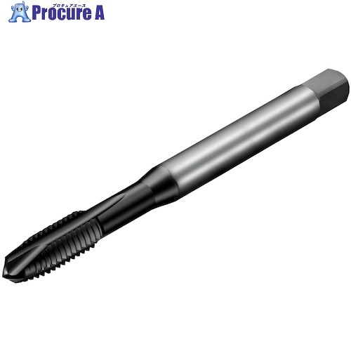 SANDVIK å200 ݥȥå(780) P1PM T200-PM100AE-1/4 P1PM (780) 1 35...