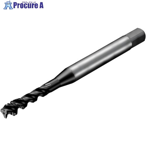 SANDVIK å300 ѥ륿å(780) P1PM T300-PM104AF-10-32 P1PM (780) 1 351-2640 ٸѡ KO521