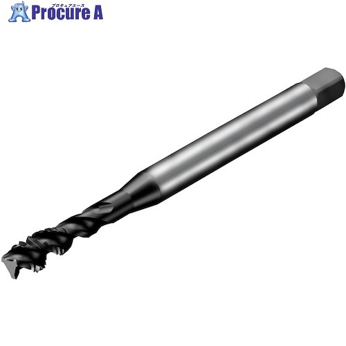 SANDVIK å300 ѥ륿å(780) P1PM T300-PM100AF-10-32 P1PM (780) 1 351-2660 ٸѡ KO521