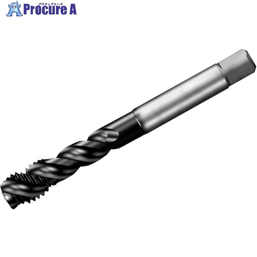 SANDVIK å300 ѥ륿å(780) P1PM T300-PM101AE-1 P1PM (780) 1 351...