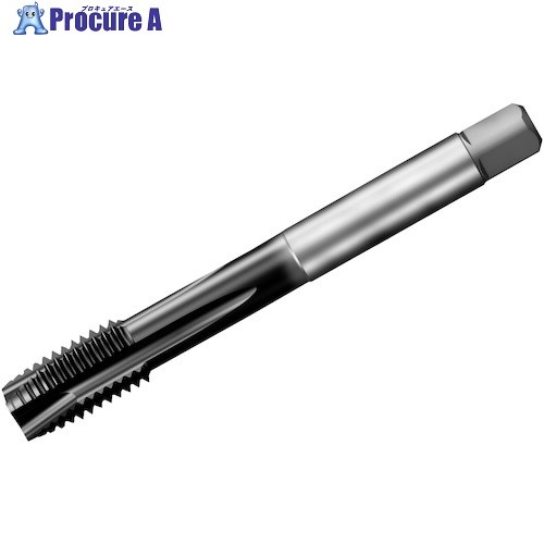 SANDVIK å200 ݥȥå(780) P1PM T200-PM115AE-1/2 P1PM (780) 1 35...