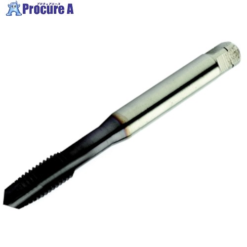 SANDVIK コロタップ200 ポイントタップ(780) C110 T200-MM101AF-7/8 C110 1本 ■▼461-7985 【送料都度見積】 ●KO521