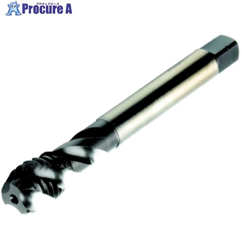 SANDVIK コロタップ300 スパイラルタップ(780) C110 T300-MM101IA-M16 C110 1本 ■▼461-9611 【送料都度見積】 ●KO521