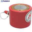 RIKEN 単動式油圧シリンダー インチねじ ストローク125mm VCカプラ付 S3-125VC 1台 ■▼819-9908 【送料都度見積】