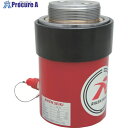 RIKEN 単動式油圧シリンダー インチねじ ストローク50mm VCカプラ付 S5-50VC 1台 ■▼819-9912 【送料都度見積】
