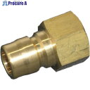 ヤマト STYカップリング プラグ(おねじ取付用・真鍮)STY12-PF STY12-PF BSBM 1個 ▼857-8053