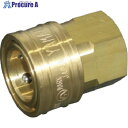 ヤマト STYカップリング ソケット(おねじ取付用・真鍮)STY12-SF STY12-SF BSBM 1個 ▼857-8059
