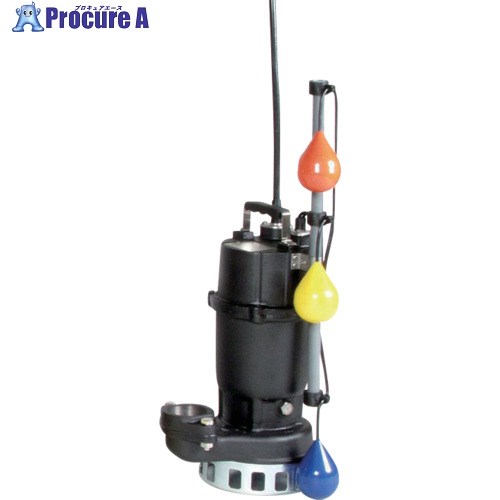 エバラ DN型雑排水用水中ポンプ 60Hz 口径65mm 65DNJ62.2A 1台 ■▼680-0276【代引決済不可】【送料都度見積】