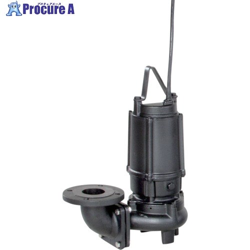 エバラ DVS型セミボルテックス水中ポンプ 60Hz 口径65mm 65DVS6.75B 1台 ■▼680-1874 【送料都度見積】