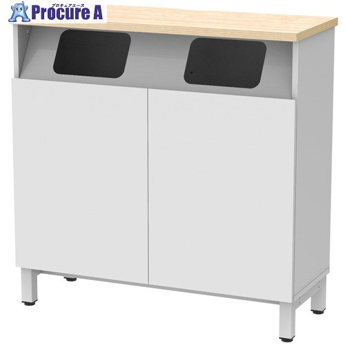 アールエフヤマカワ 収納カウンター ダストボックスタイプ W1000×D400 ホワイト RFDBC-1040NW-DB 1台 ■▼694-6243