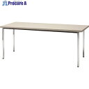 TRUSCO 会議用テーブル 1200X600XH700 角脚 下棚無し ニューグレー TD1260-NG 1台 ■▼208-2216 ※車上渡し