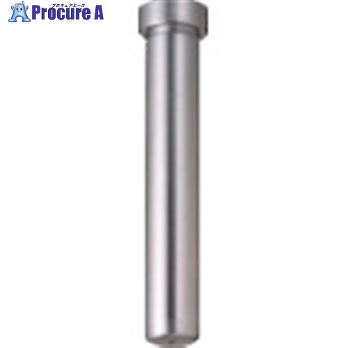 TRUSCO 精密級ガイドピン(ヘッド付タイプ) T-GGPH12-75 1本 ■▼256-2874 【送料都度見積】