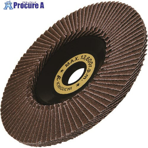 AC テクノディスクA-E 外径×穴径:100×15mm 粒度(#)80 TDE10015-A-80 5枚 ▼306-1876