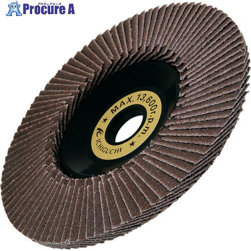 AC テクノディスクA-E 外径×穴径:100×15mm 粒度(#)240 TDE10015-A-240 5枚 ▼306-1922【代引決済不可】