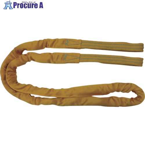 TESAC ブルースリングソフトE形(両端アイタイプ)荷重3.2t 全長2.5m(JIS規格品) TBSE3.2TX2.5M 1本 ▼433-4183