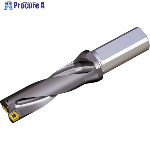 TEAGUTEC 刃先交換式ドリルホルダー トップドリル TOP 3390-40T2-13 1本 ▼440-3191