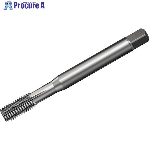 SANDVIK å400 ž¤å(781) C125 T400-XM150AE-1/4 C125 1 461-1711 ...