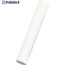 TRUSCO ダストレス太チョーク 白 10本入 TDCF-W-10P 1箱 ▼855-5900