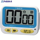 佐藤 ワンタッチタイマー TM-22 (1709-10) TM-22 1個 ▼857-8236