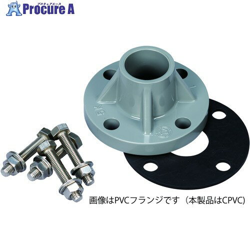 日本フイルター EGL-3-A/B共通オプション 「出口 TS-CPVCフランジ 25A ASSY」 (フランジ・ボルト・ナット・パッキン) F061-0050-920 1個 ■▼369-7344 【送料都度見積】