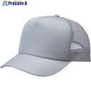 アイトス ユーティリティメッシュキャップ(36000)AZ66335 シルバーグレー F AZ66335-003-F 1着 ■▼680-3650【代引決済不可】...