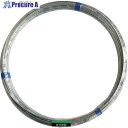 DAIDОHANT 針金 5Kg巻 #10 10155459 1巻 ▼134-8107