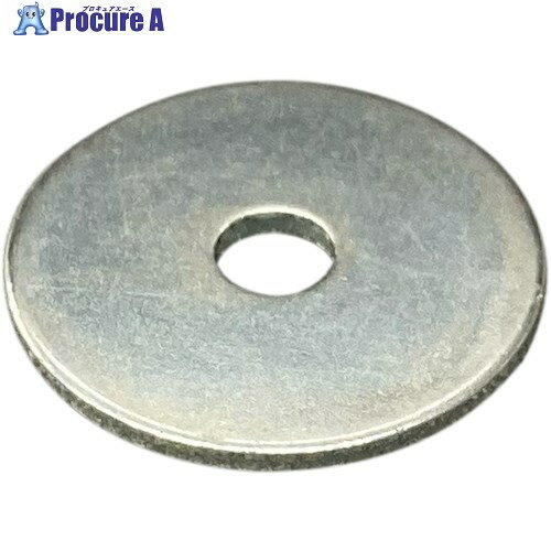 DAIDОHANT ユニクロ平ワッシャー 大 M6(22×1.6) 100入り 10165566 1パック ▼334-2227【代引決済不可】