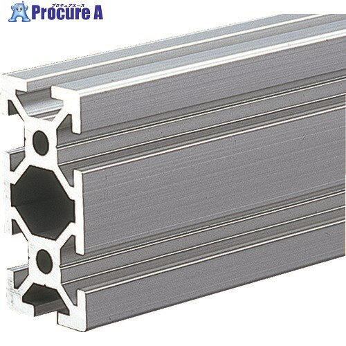 TRUSCO TSF20フレーム20X40-1000 TSF2040-1000 1本 ■▼161-3436