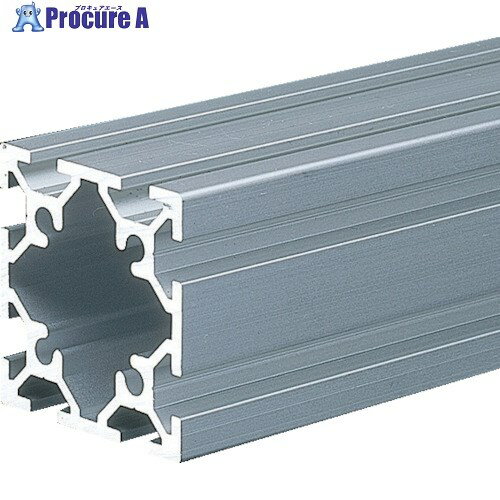 TRUSCO TSF20フレーム40X40-700 TSF40402S-700 1本 ■▼161-3473