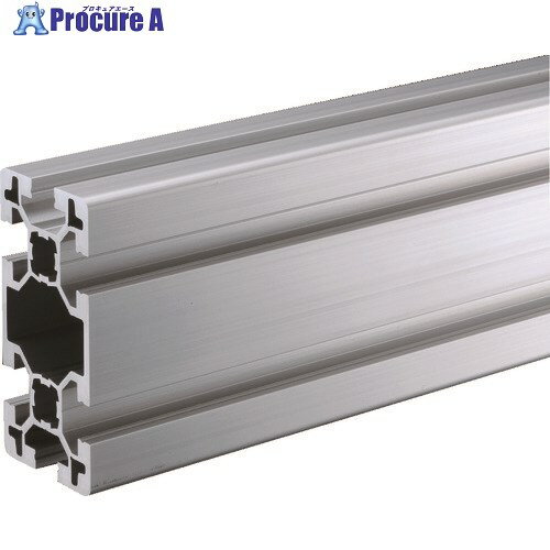 TRUSCO TSF40フレーム40X80-600 TSF4080-600 1本 ■▼161-3623