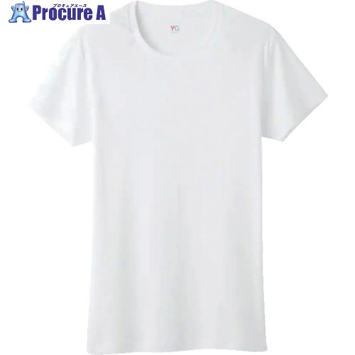 GUNZE YG半袖丸首 YV0013V-03-L 1枚 ▼525-3483【代引決済不可】