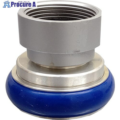 IWA アルミ製 F106 町野式女×ガスネジ女(PTネジ) 36F050A 1個 ■▼509-2861 【送料都度見積】