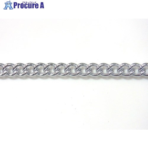 ニッサチェイン アルミカラーチェン 30m 銀 AS25-SV 1本 ■▼126-2972 【送料都度見積】