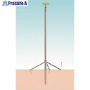 つくし スカイポール 10mタイプ(全高 9410mm) SP-100 1組 ■▼184-3308【代引決済不可】【送料都度見積】※車上渡し