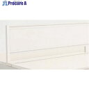 PLUS 689300)デスクトップパネル ST-R243FPN-S ST-R243FPN-S 1枚 ■▼210-9694 【送料都度見積】
