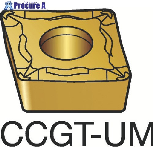 SANDVIK コロターン107 旋削用ポジチップ(130) H13A CCGT 06 02 01-UM H13A (130) 10個 ■▼226-3629 【...